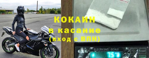 хмурый Арсеньев