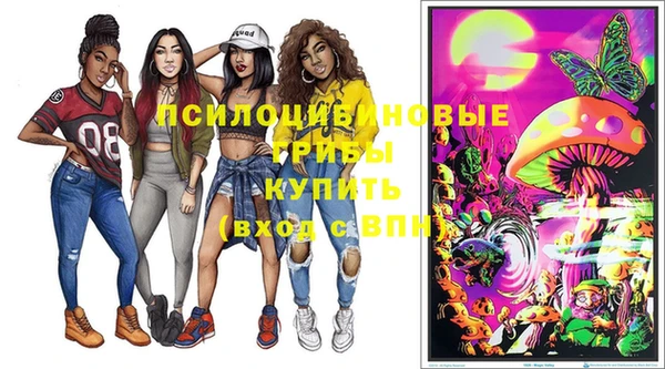 прущие крисы Армянск