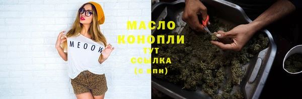 хмурый Арсеньев