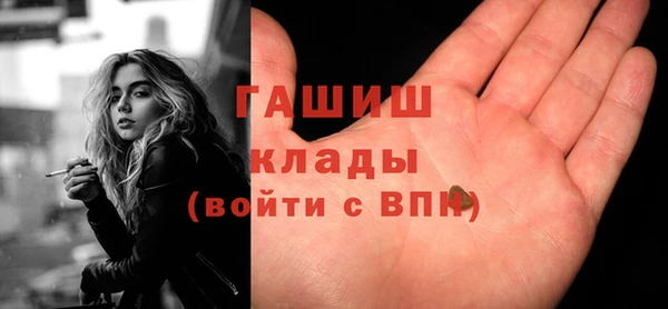 хмурый Арсеньев