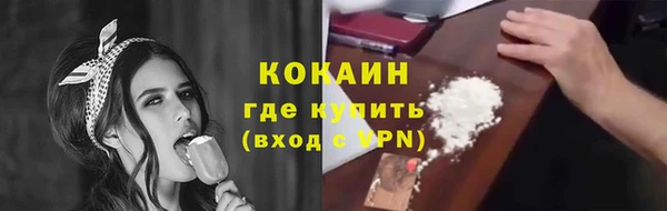 кокс Алексин