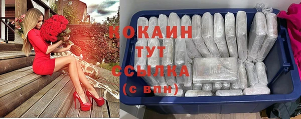 хмурый Арсеньев