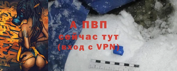 хмурый Арсеньев
